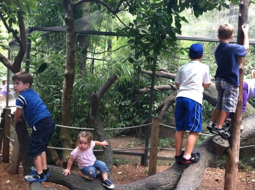 deeda916's profile picture. 