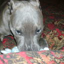 mia roberson - @miaroberson6 - Twitter