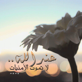 yazanKing08's profile picture. 