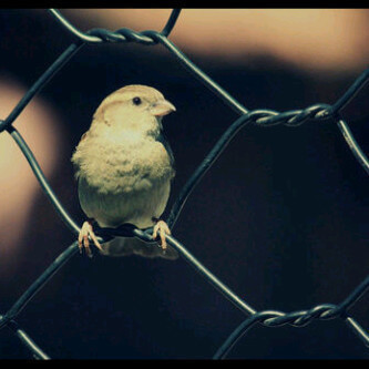 hmod_y's profile picture. A.W ♥