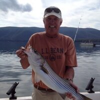 Wayne Mullican (@rwmullican) 's Twitter Profile