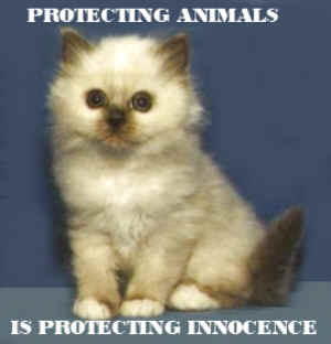 Pets_In_Need's profile picture. Animal lover.. Helping to raise awareness of animals in need worldwide.. Help me to help them by following this page & pls RT important tweets! #networking