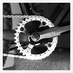 LaX_MTB (@ora_mtb) Twitter profile photo