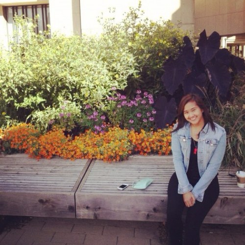 dhipsus's profile picture. Little by little, one travels far