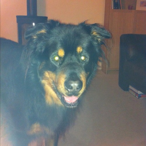 harryh01's profile picture. Glossop via Marple