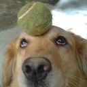 Vitor Thomas Chaplin - @ThomasChaplin - Twitter