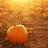 SLpumpkinfair's profile image