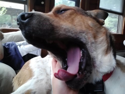 SSSDYEINGG's profile picture. 