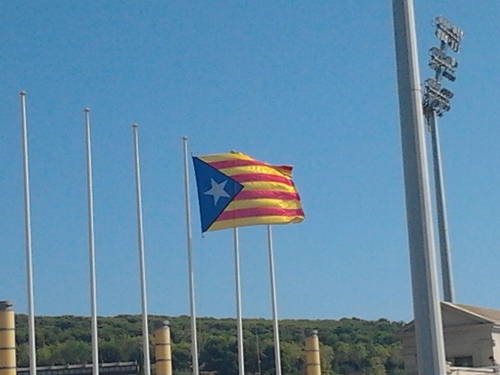 maarti_arago99's profile picture. 