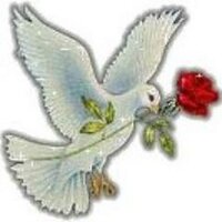 Aya Algammal (@yoyogemy1) 's Twitter Profile
