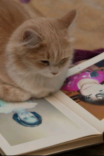 KuwaitSama's profile picture. لا وقت لدي لكره احد