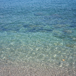 Betta_I's profile picture. 