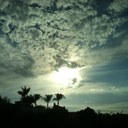 gene sanger - @runfly1970 - Twitter