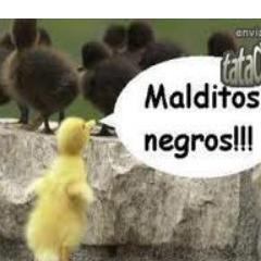 amanta de los chistes