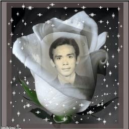 willemcaya1's profile picture. Pemandangan