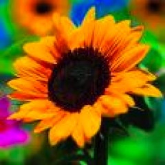 BrownChellie's profile picture. Entertainment Public Relations chick!