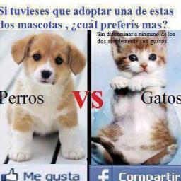 Gloriana_Maria's profile picture. Sigue tus sueños y no dejes que nada ni nadie te derrote