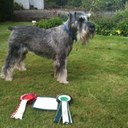 Jean Connell - @pitmenzie - Twitter