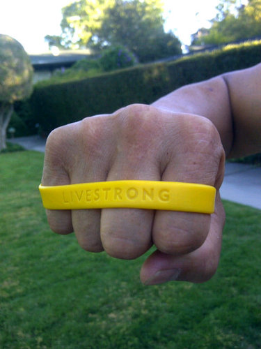 Pro Team Mechanic, Avid Cyclist, old man stripes/bars and --- Cancer SURVIVOR