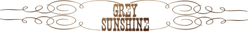 Grey Sunshine handbags was founded in 2009 by Dana Van Daele, in Denver Colorado. Handbags are made out of locally sourced leather, and created by Dana herself.