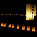 Lacy Schmidt - @lacyhotpink - Twitter