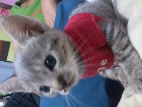 rosiiita_selene's profile picture. 