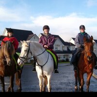 Giulia Canata 🏴🐶🐴 (@giuliacanata) 's Twitter Profile