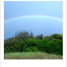 DiduPellegrino's profile picture. Son tiempos difíciles para los soñadores