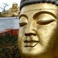 buda rio valen (@budario) 's Twitter Profile