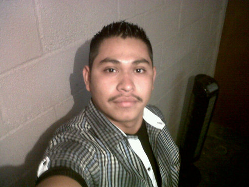 Ernesto