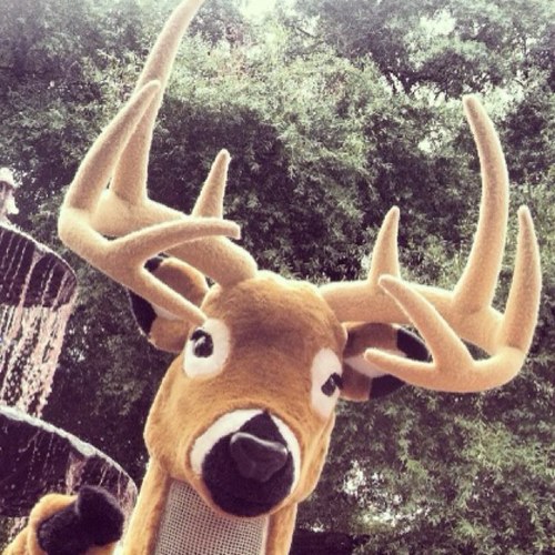 CoachBuck8's profile picture. Coach of Deer  lover of corn  claim to fame Incomplete Deer Hunter. I educate other deer on how to elude the North American Hunter