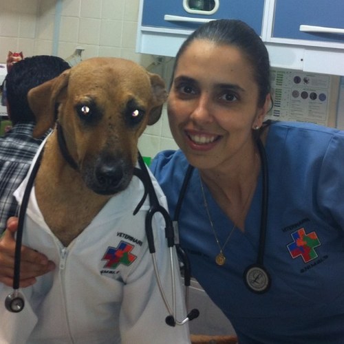 Porque ellos no pueden hablar, nuestra misión es entenderlos. Veterinaria, nacida en Barcelona y culé hasta los huesos, pero Mexiñola por adopción.