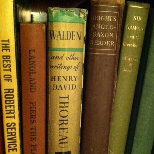 DrCucinotta's profile picture. Tweets are mine & RT for conversation not endorsement.