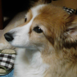 ボーッと生きてた Profile