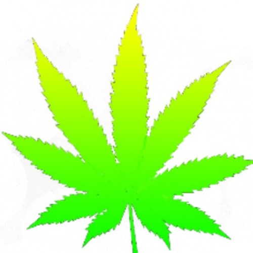 Shoutouts start as soon as i hit 500 followers! also a certified michigan grower so if you need a marijuana reference im here(: