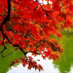 DiscoverChrchST's profile picture. Discover Church Street is a free mobile app for iPhone and Android coming to Burlington, VT in October 2012. It will feature Dining, Shopping & Events.