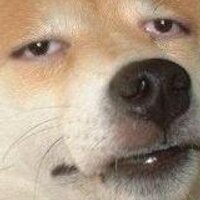 CCV (@theccv) 's Twitter Profile