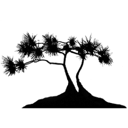 FraserIsGallery's profile picture. 