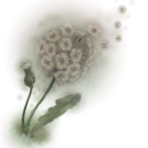 moralvignette's profile picture. These are stories of the journey, for everyone has one. Along the way you may learn to do good; write in ink; earn your title; follow the wind.