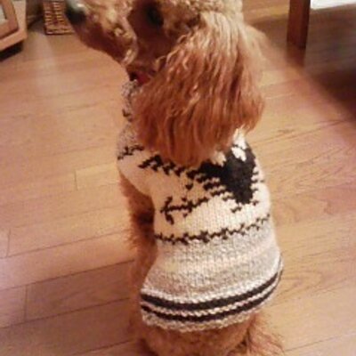 川端まゆみ