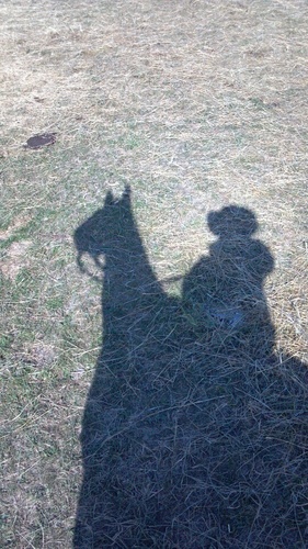 Mom, wife, CowGirl, Rancher, greenie, simplicity is key