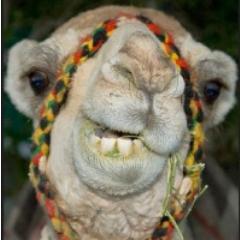 Sendtowin Profile Picture