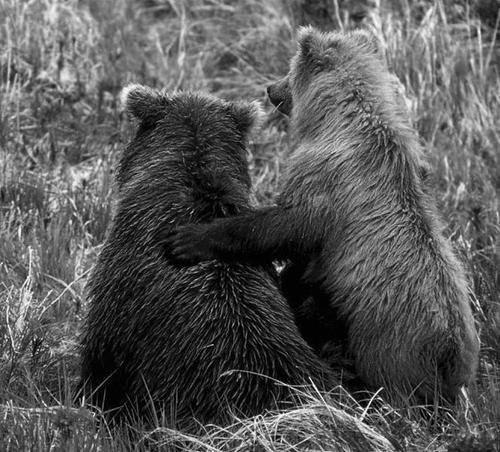 8twillia8's profile picture. 