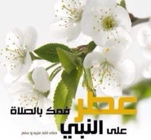 saleh35811's profile picture. ربي رضاك والجنة