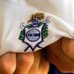 Hincha de Gimnasia y Esgrima La Plata