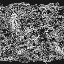 calendar__days's profile picture. 