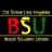 CSULABSU's profile image