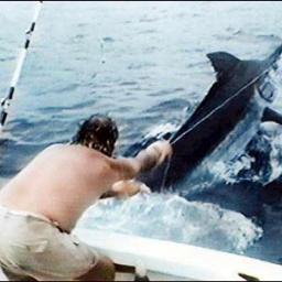 GripeMike's profile picture. Real life debt and consumer advice