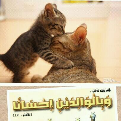 مااجمل ان تعيش الحياة بحرية لاتهتم لاحد ولاحتى تنظر اهتمام الاخرين