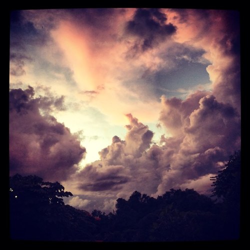 TitO_9_7_1's profile picture. 